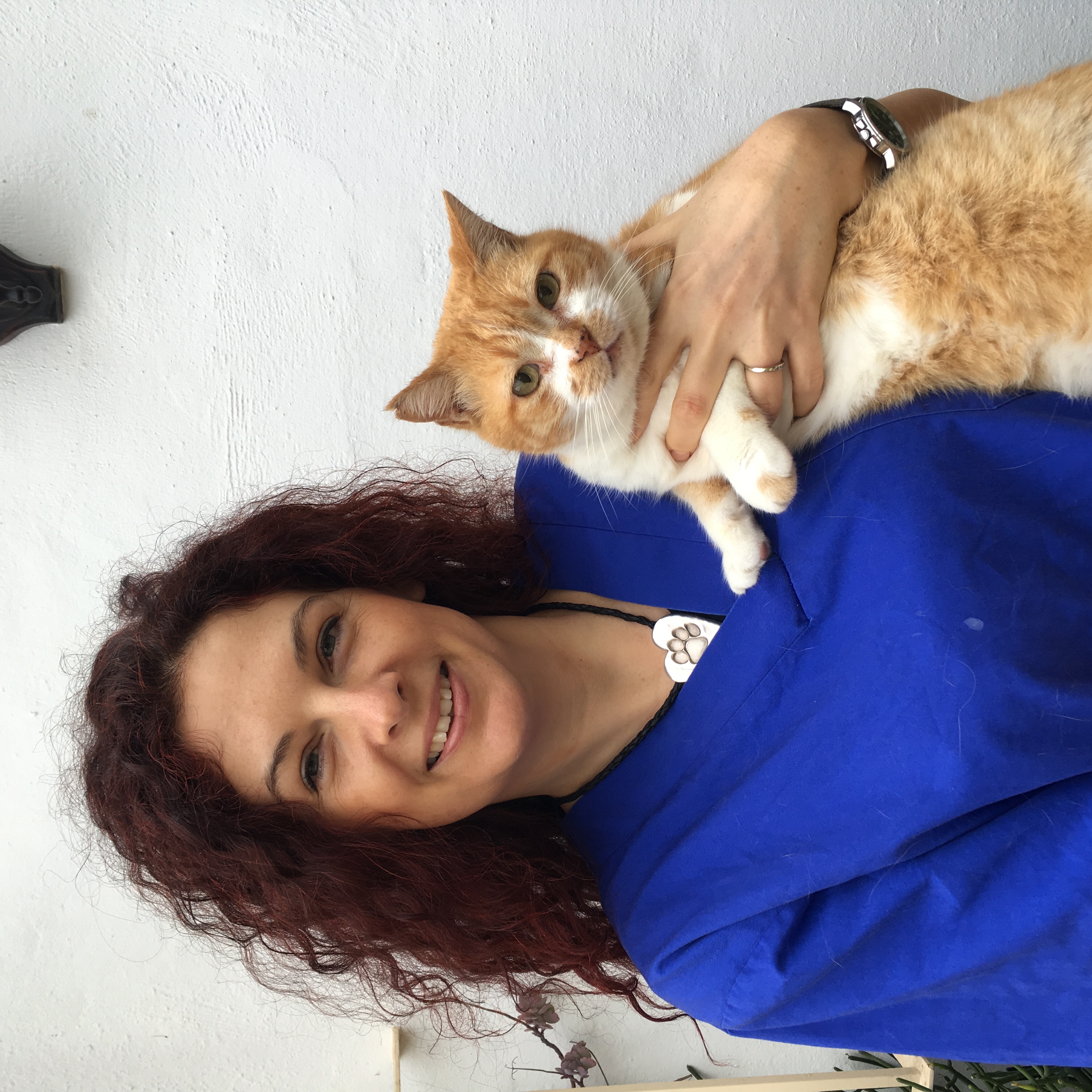 Pus the cat